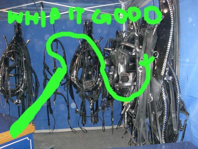 harness.jpg